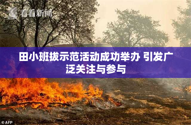 田小班拔示范活动成功举办 引发广泛关注与参与