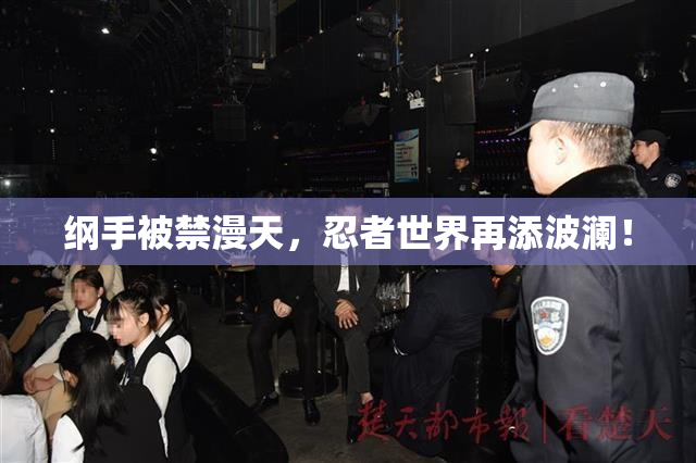 纲手被禁漫天，忍者世界再添波澜！