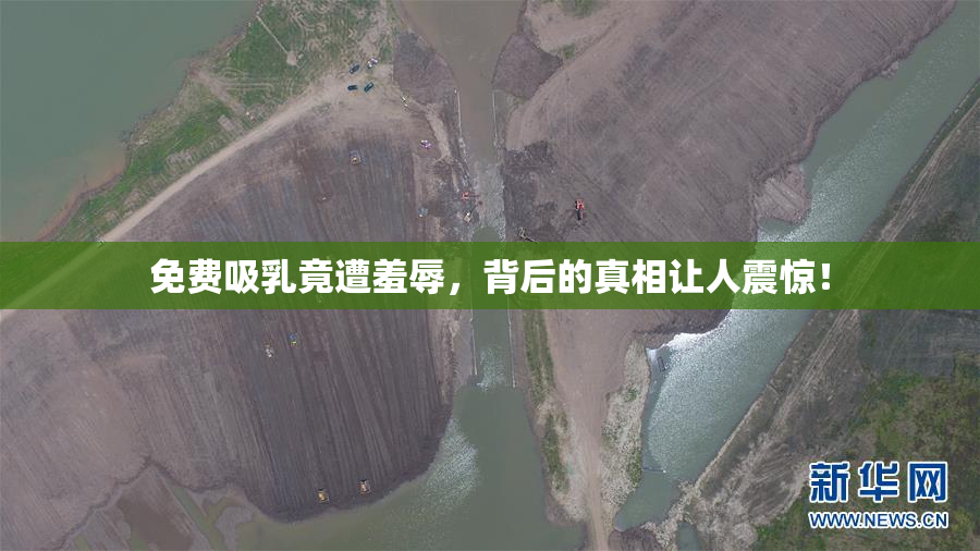 免费吸乳竟遭羞辱，背后的真相让人震惊！