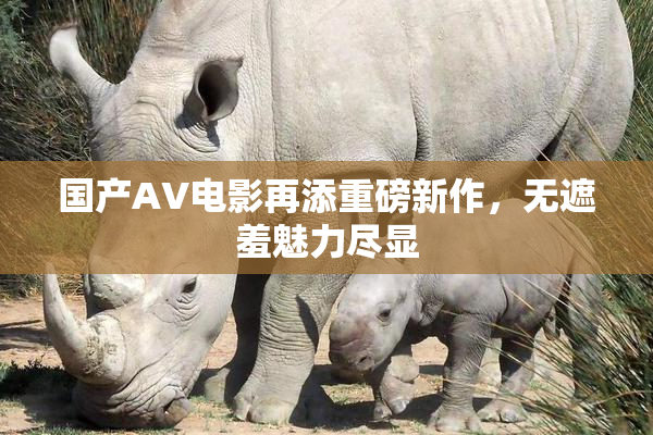 国产AV电影再添重磅新作，无遮羞魅力尽显