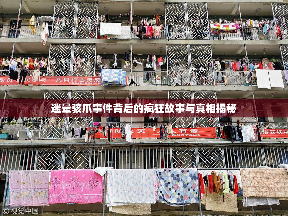 迷晕骇爪事件背后的疯狂故事与真相揭秘