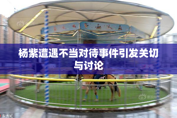 杨紫遭遇不当对待事件引发关切与讨论