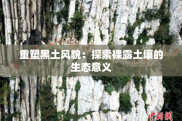 重塑黑土风貌：探索裸露土壤的生态意义