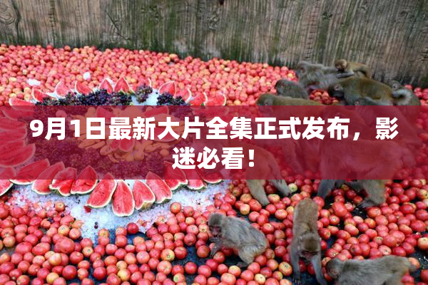 9月1日最新大片全集正式发布，影迷必看！
