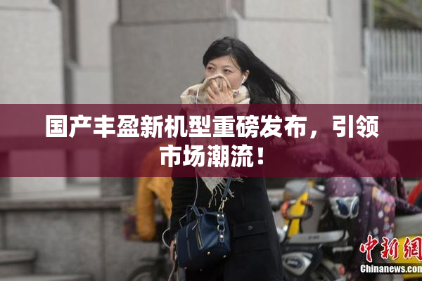 国产丰盈新机型重磅发布，引领市场潮流！