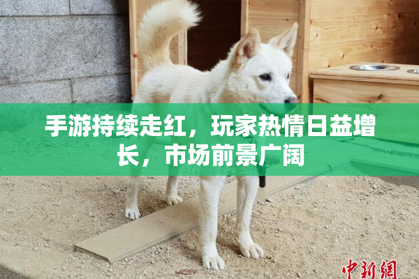 手游持续走红，玩家热情日益增长，市场前景广阔