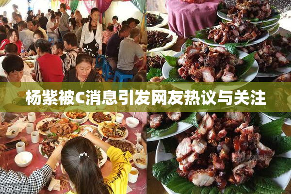 杨紫被C消息引发网友热议与关注