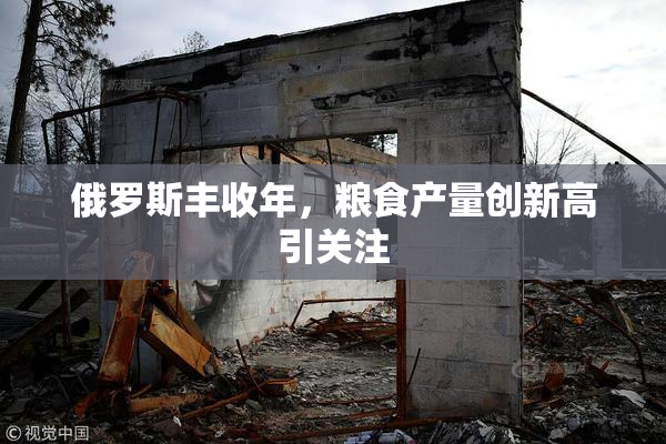 俄罗斯丰收年，粮食产量创新高引关注