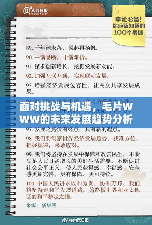 面对挑战与机遇，毛片WWW的未来发展趋势分析