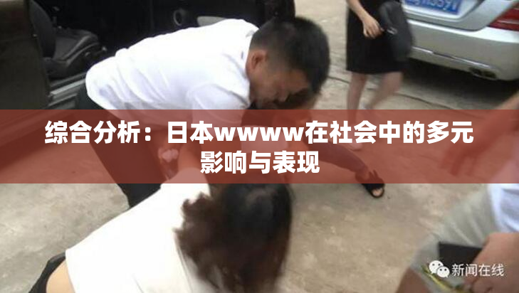 综合分析：日本wwww在社会中的多元影响与表现