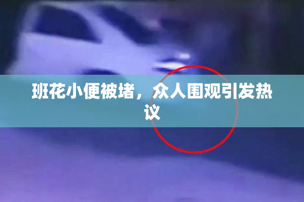 班花小便被堵，众人围观引发热议