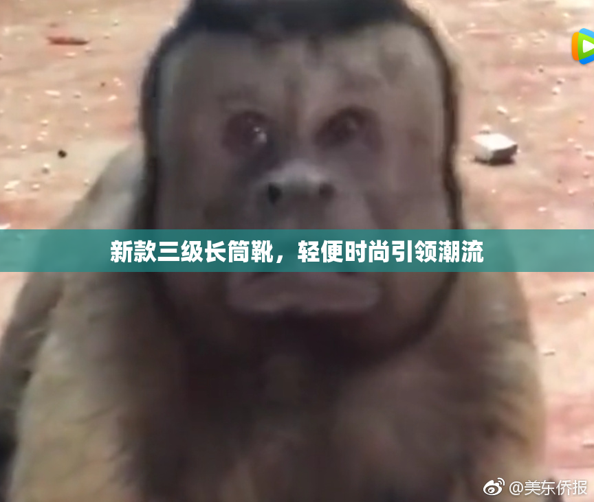 新款三级长筒靴，轻便时尚引领潮流