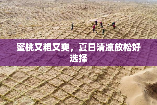 蜜桃又粗又爽，夏日清凉放松好选择