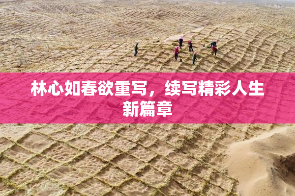 林心如春欲重写，续写精彩人生新篇章