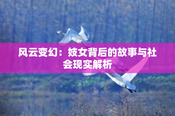 风云变幻：妓女背后的故事与社会现实解析