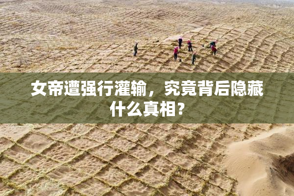 女帝遭强行灌输，究竟背后隐藏什么真相？