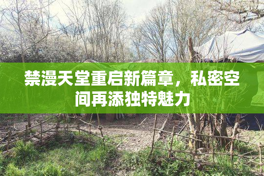 禁漫天堂重启新篇章，私密空间再添独特魅力