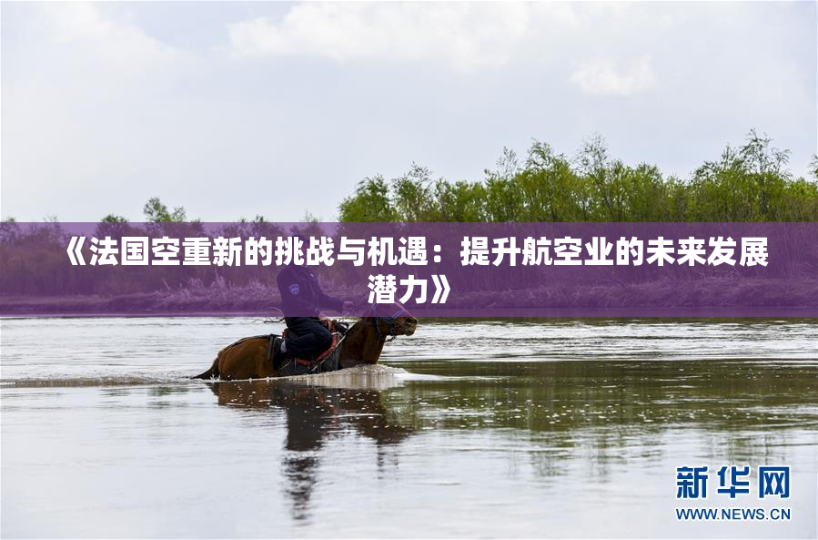 《法国空重新的挑战与机遇：提升航空业的未来发展潜力》