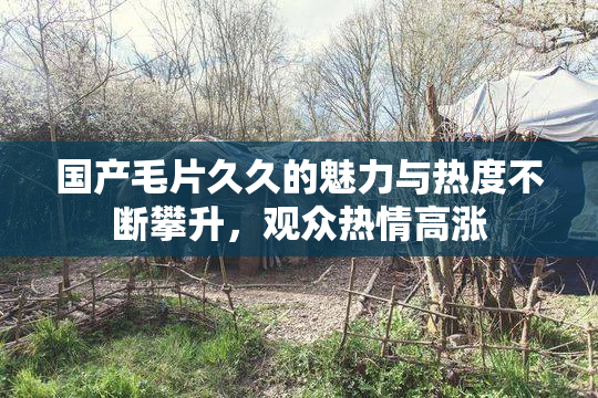 国产毛片久久的魅力与热度不断攀升，观众热情高涨