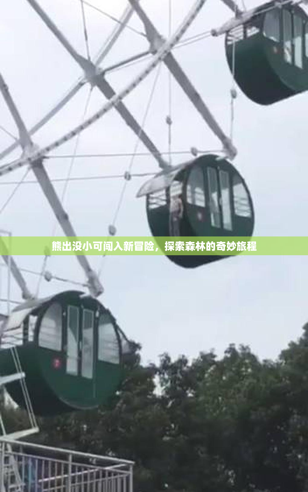 熊出没小可闯入新冒险，探索森林的奇妙旅程
