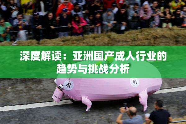 深度解读：亚洲国产成人行业的趋势与挑战分析