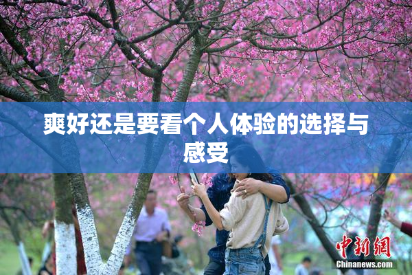 爽好还是要看个人体验的选择与感受