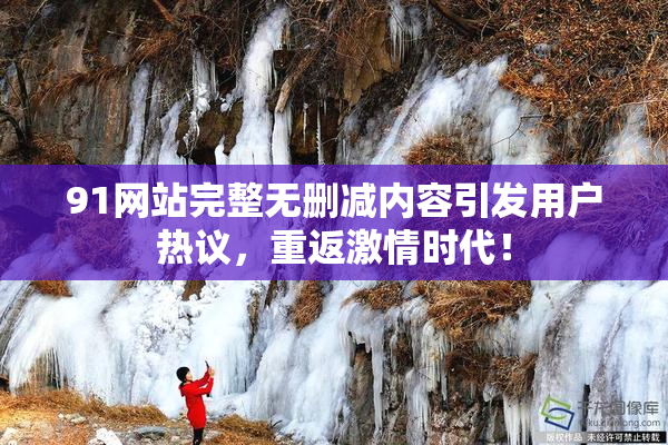 91网站完整无删减内容引发用户热议，重返激情时代！