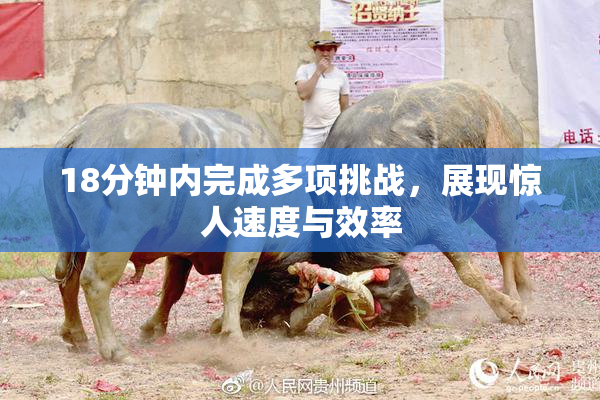 18分钟内完成多项挑战，展现惊人速度与效率