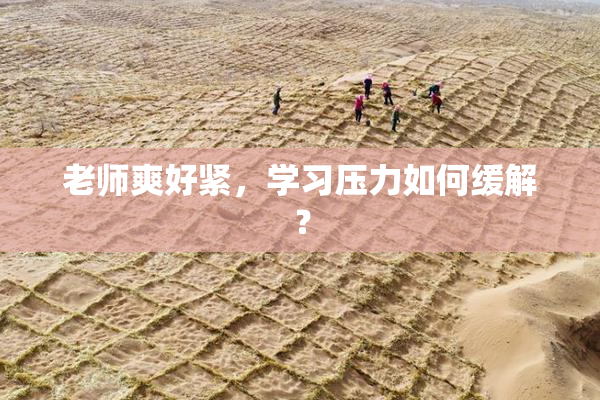 老师爽好紧，学习压力如何缓解？