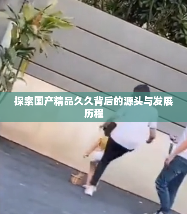 探索国产精品久久背后的源头与发展历程