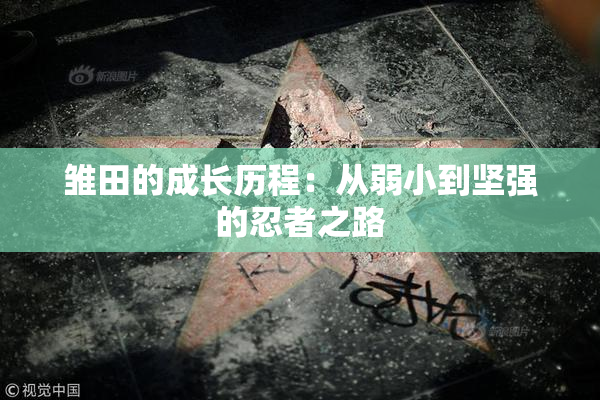 雏田的成长历程：从弱小到坚强的忍者之路