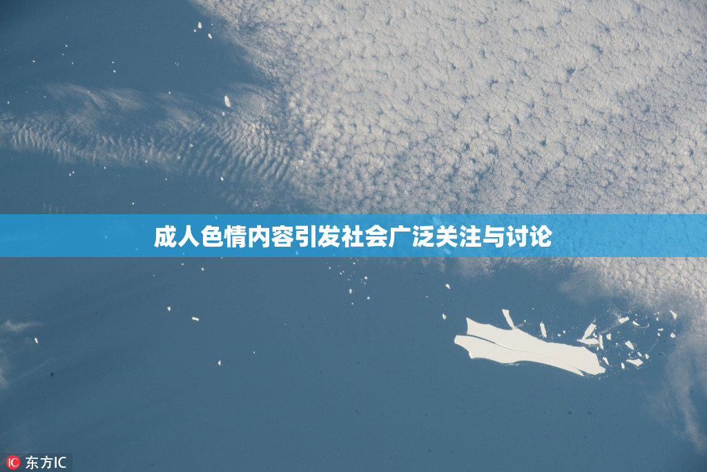 成人色情内容引发社会广泛关注与讨论