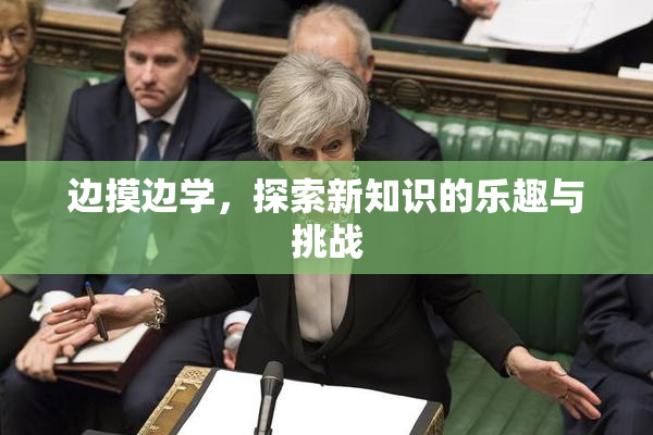 边摸边学，探索新知识的乐趣与挑战