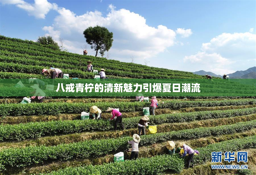 八戒青柠的清新魅力引爆夏日潮流