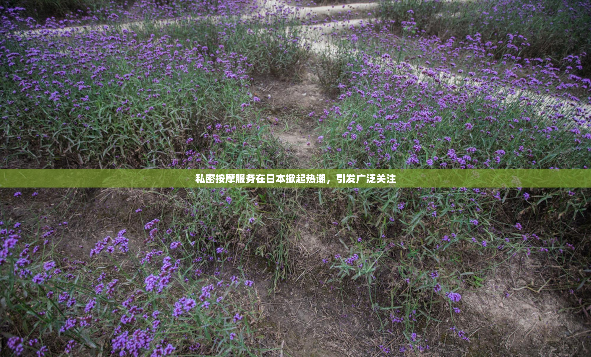 私密按摩服务在日本掀起热潮，引发广泛关注