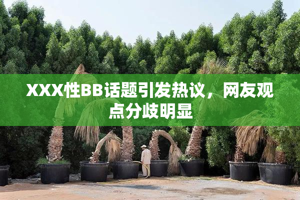 XXX性BB话题引发热议，网友观点分歧明显