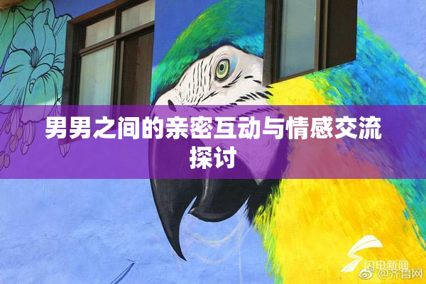 男男之间的亲密互动与情感交流探讨