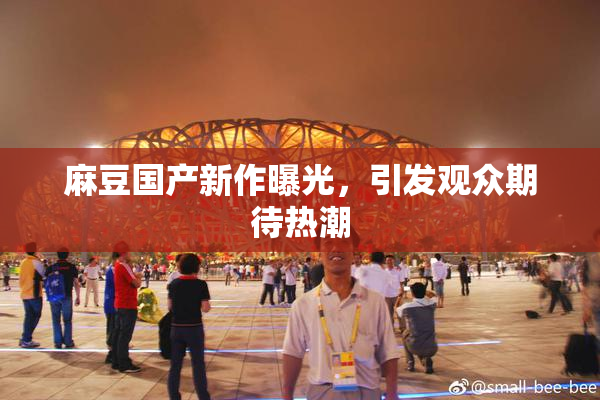 麻豆国产新作曝光，引发观众期待热潮