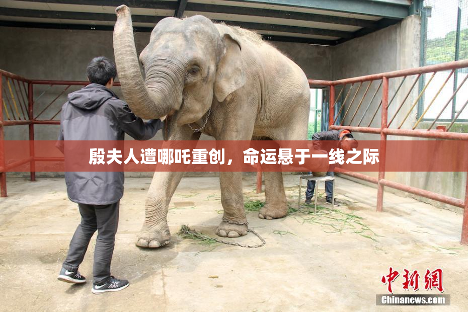 殷夫人遭哪吒重创，命运悬于一线之际