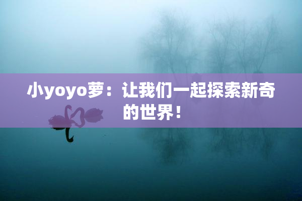 小yoyo萝：让我们一起探索新奇的世界！