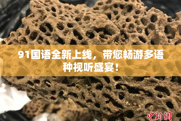 91国语全新上线，带您畅游多语种视听盛宴！