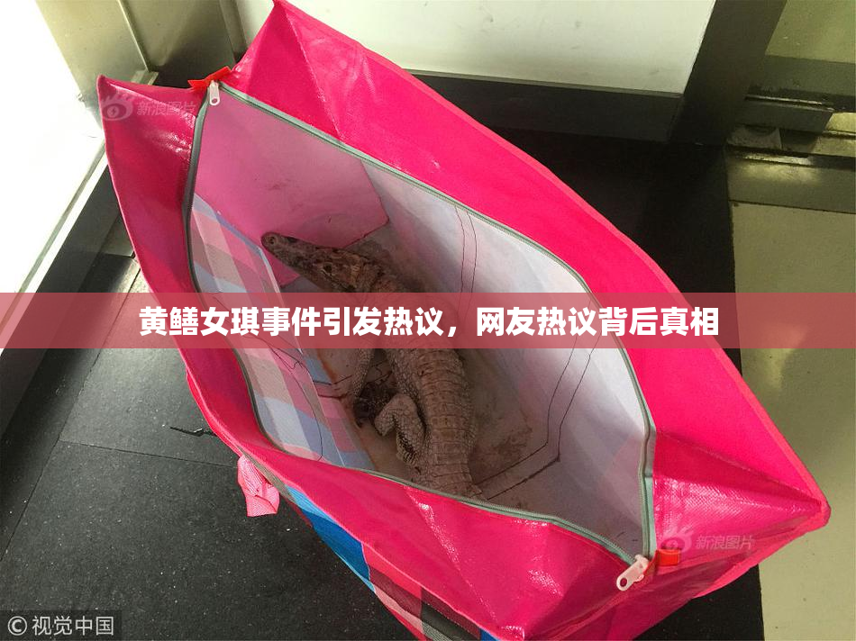 黄鳝女琪事件引发热议，网友热议背后真相