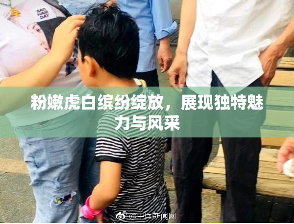 粉嫩虎白缤纷绽放，展现独特魅力与风采