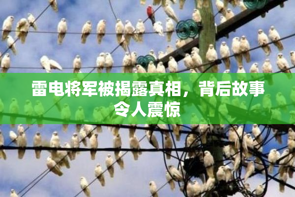 雷电将军被揭露真相，背后故事令人震惊