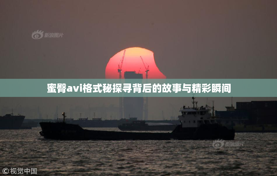 蜜臀avi格式秘探寻背后的故事与精彩瞬间