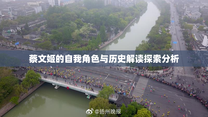 蔡文姬的自我角色与历史解读探索分析