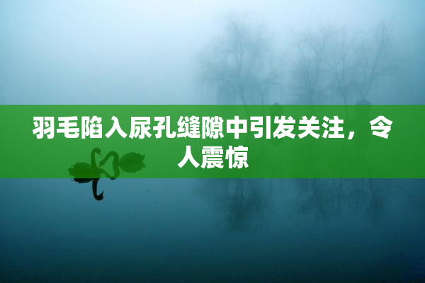 羽毛陷入尿孔缝隙中引发关注，令人震惊