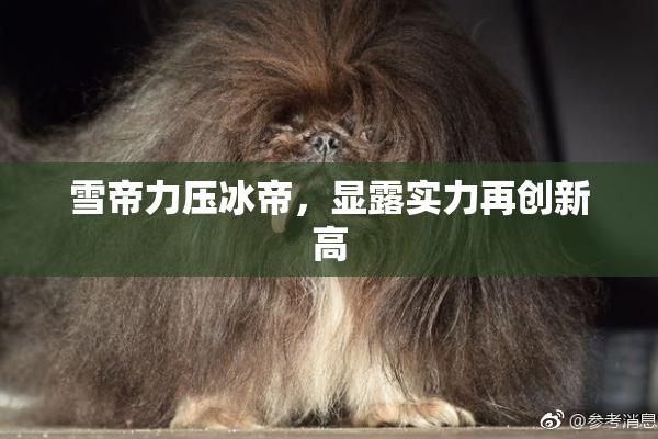 雪帝力压冰帝，显露实力再创新高