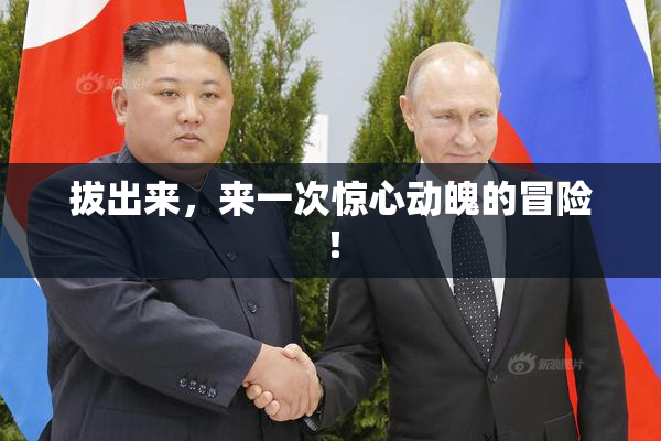 拔出来，来一次惊心动魄的冒险！