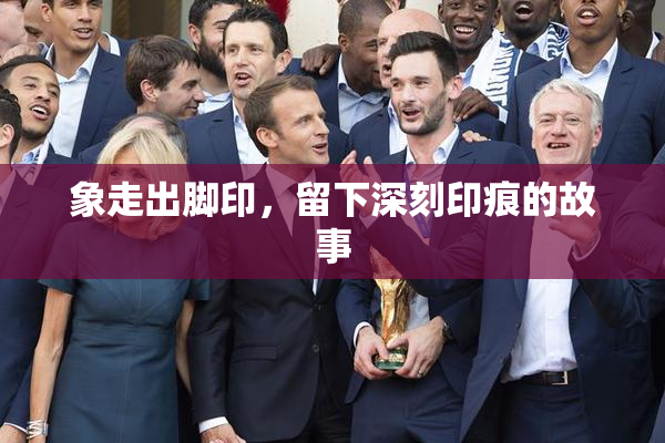 象走出脚印，留下深刻印痕的故事